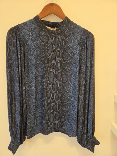 Python Blue Button Down