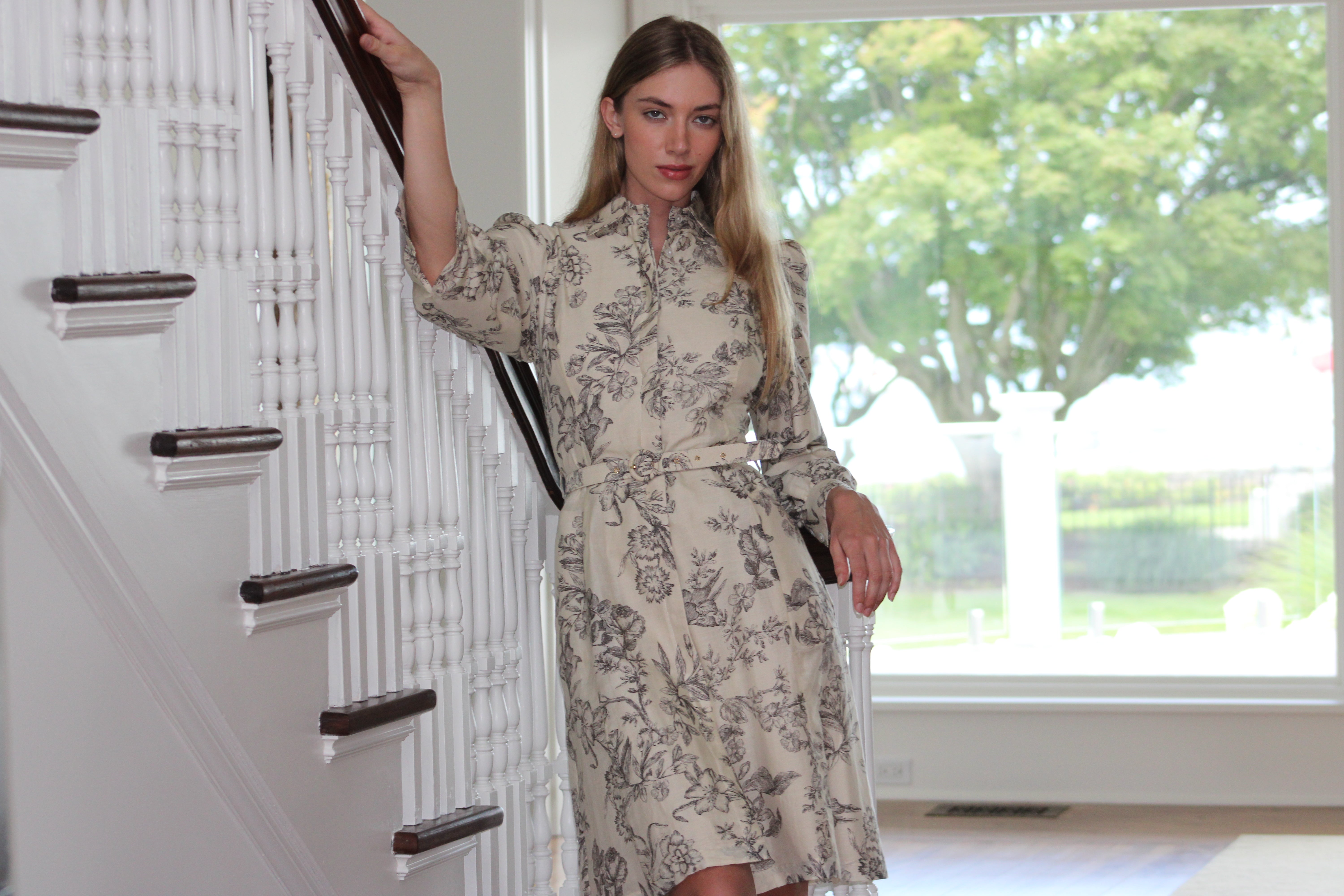 Toile Dress