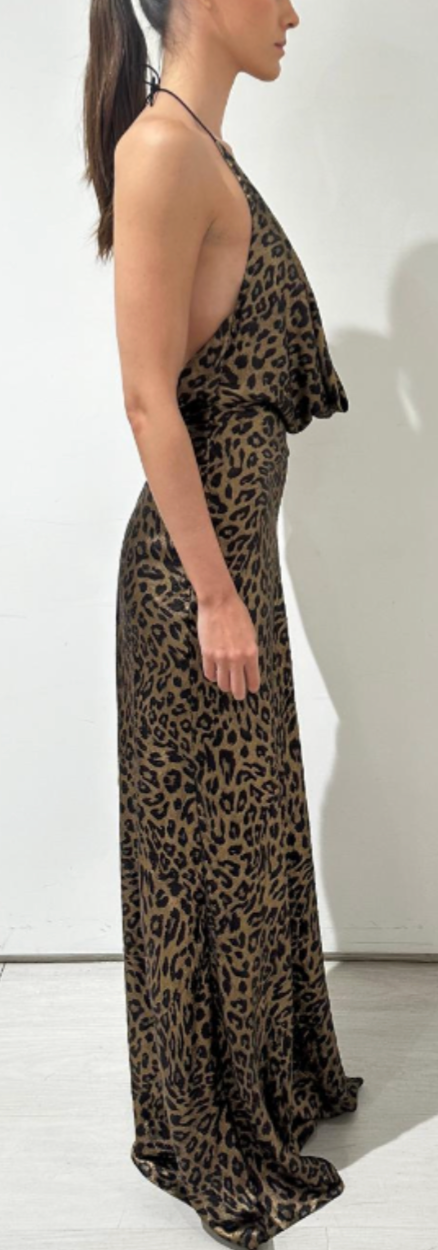 Safi Leopard Dress