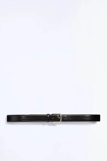 The Andrea Belt